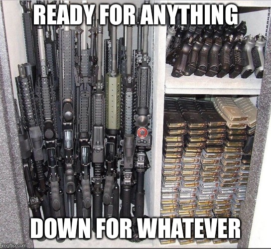 Guns | READY FOR ANYTHING; DOWN FOR WHATEVER | image tagged in guns | made w/ Imgflip meme maker