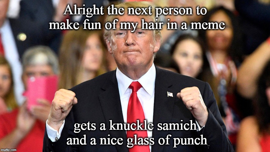 Alright the next person to make fun of my hair in a meme; gets a knuckle samich and a nice glass of punch | image tagged in donald trump,trump,funny | made w/ Imgflip meme maker