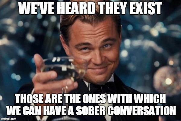 Leonardo Dicaprio Cheers Meme | WE'VE HEARD THEY EXIST THOSE ARE THE ONES WITH WHICH WE CAN HAVE A SOBER CONVERSATION | image tagged in memes,leonardo dicaprio cheers | made w/ Imgflip meme maker