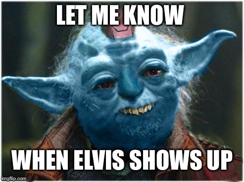 Yonda The Great | LET ME KNOW; WHEN ELVIS SHOWS UP | image tagged in yonda the great | made w/ Imgflip meme maker