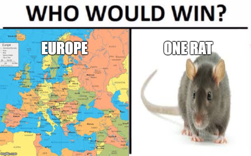 Black Death Meme | EUROPE; ONE RAT | image tagged in europe,who would win | made w/ Imgflip meme maker