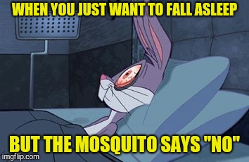 I can't be the only one facing this problem | WHEN YOU JUST WANT TO FALL ASLEEP; BUT THE MOSQUITO SAYS "NO" | image tagged in bugs bunny insomnia,mosquitoes,sleep,memes,powermetalhead,problems | made w/ Imgflip meme maker