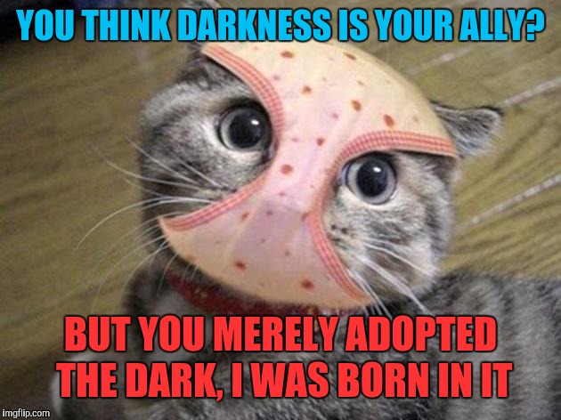 Bane cat | YOU THINK DARKNESS IS YOUR ALLY? BUT YOU MERELY ADOPTED THE DARK, I WAS BORN IN IT | image tagged in memes,cats,bane,batman,funny | made w/ Imgflip meme maker