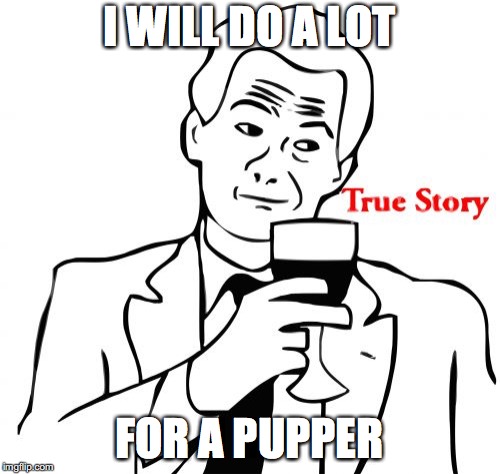 True Story Meme | I WILL DO A LOT FOR A PUPPER | image tagged in memes,true story | made w/ Imgflip meme maker