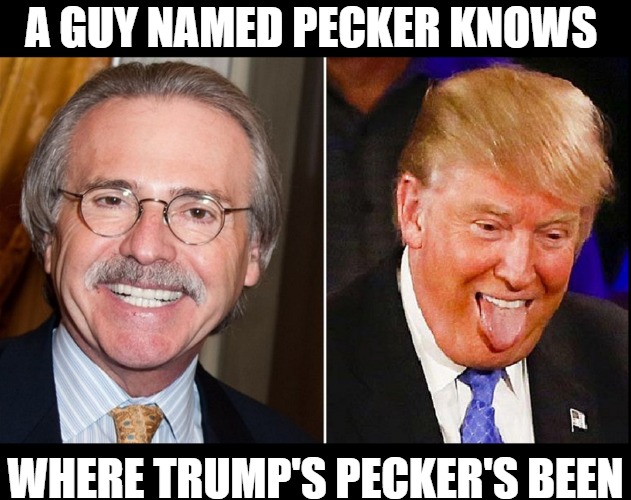 The Pecker Leak is Dripping with Irony | A GUY NAMED PECKER KNOWS; WHERE TRUMP'S PECKER'S BEEN | image tagged in donald trump,david pecker,funny meme | made w/ Imgflip meme maker