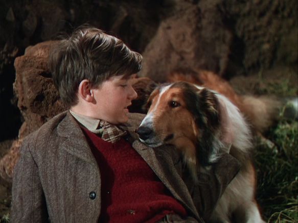 Lassie saves the day Blank Meme Template