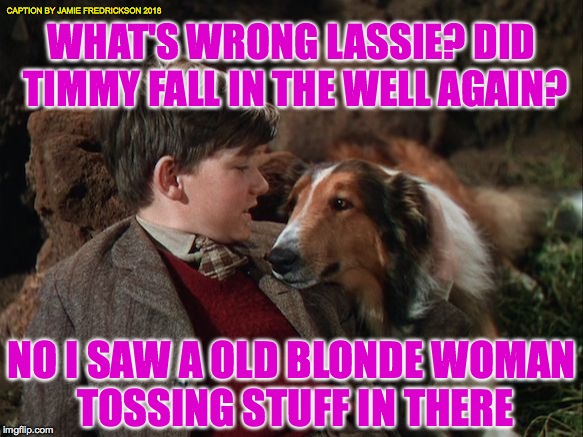 Lassie saves the day | CAPTION BY JAMIE FREDRICKSON 2018; WHAT'S WRONG LASSIE? DID TIMMY FALL IN THE WELL AGAIN? NO I SAW A OLD BLONDE WOMAN TOSSING STUFF IN THERE | image tagged in lassie saves the day | made w/ Imgflip meme maker