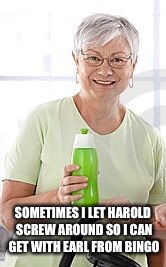 SOMETIMES I LET HAROLD SCREW AROUND SO I CAN GET WITH EARL FROM BINGO | made w/ Imgflip meme maker
