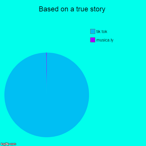 Based on a true story | musica.ly, tik tok | image tagged in funny,pie charts | made w/ Imgflip chart maker