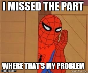 psst spiderman | I MISSED THE PART WHERE THAT'S MY PROBLEM | image tagged in psst spiderman | made w/ Imgflip meme maker