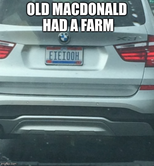 OLD MACDONALD HAD A FARM | image tagged in memes,funny license plate,funny meme | made w/ Imgflip meme maker