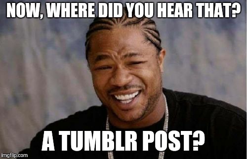 Yo Dawg Heard You Meme | NOW, WHERE DID YOU HEAR THAT? A TUMBLR POST? | image tagged in memes,yo dawg heard you | made w/ Imgflip meme maker