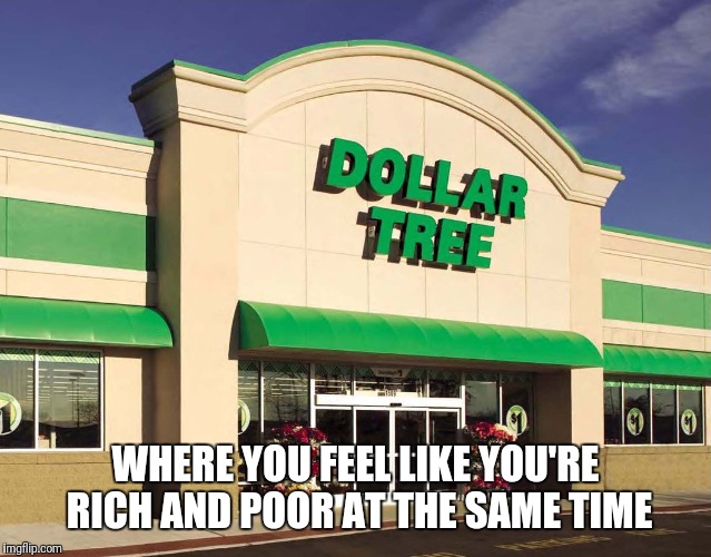 WHERE YOU FEEL LIKE YOU'RE RICH AND POOR AT THE SAME TIME | image tagged in dollar store,memes,shopping | made w/ Imgflip meme maker