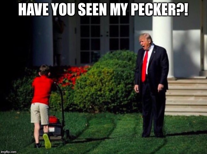 Trump yells at lawnmower kid | HAVE YOU SEEN MY PECKER?! | image tagged in trump yells at lawnmower kid | made w/ Imgflip meme maker