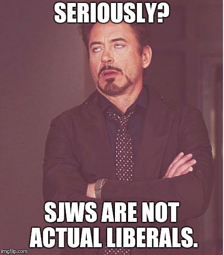 Face You Make Robert Downey Jr Meme | SERIOUSLY? SJWS ARE NOT ACTUAL LIBERALS. | image tagged in memes,face you make robert downey jr | made w/ Imgflip meme maker