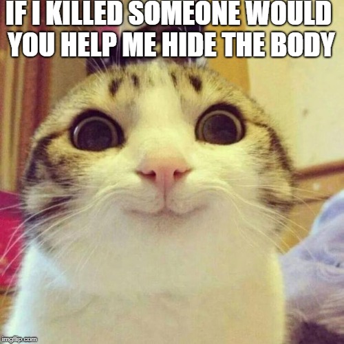 Smiling Cat Meme | IF I KILLED SOMEONE WOULD YOU HELP ME HIDE THE BODY | image tagged in memes,smiling cat | made w/ Imgflip meme maker