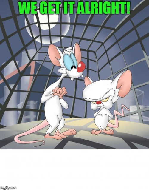 Pinky and the brain | WE GET IT ALRIGHT! | image tagged in pinky and the brain | made w/ Imgflip meme maker