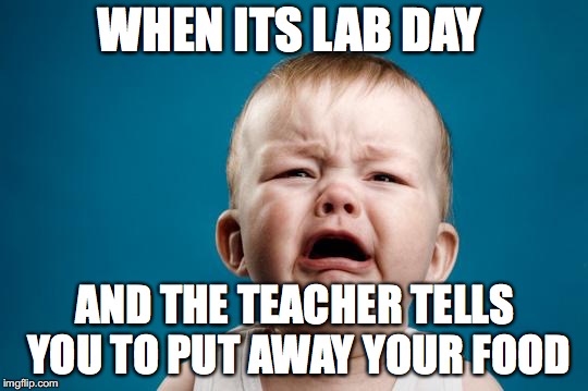 CRYING BABY | WHEN ITS LAB DAY; AND THE TEACHER TELLS YOU TO PUT AWAY YOUR FOOD | image tagged in crying baby | made w/ Imgflip meme maker