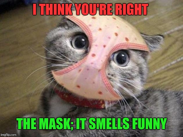 I THINK YOU'RE RIGHT THE MASK; IT SMELLS FUNNY | made w/ Imgflip meme maker