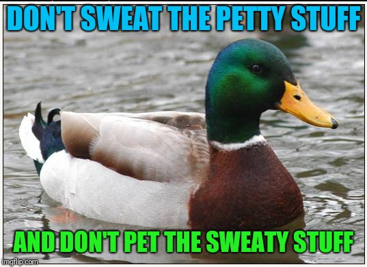 Something to ponder from a duck on a pond | DON'T SWEAT THE PETTY STUFF; AND DON'T PET THE SWEATY STUFF | image tagged in memes,actual advice mallard | made w/ Imgflip meme maker