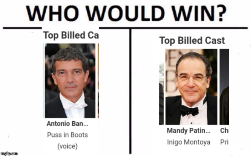 Who Would Win? Meme | image tagged in memes,who would win | made w/ Imgflip meme maker