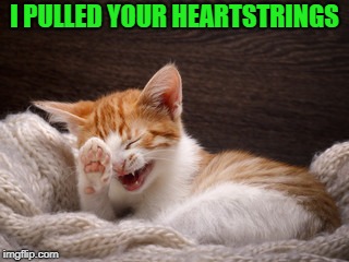 I PULLED YOUR HEARTSTRINGS | made w/ Imgflip meme maker