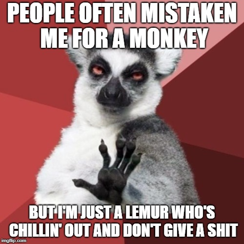 Chill Out Lemur Meme | PEOPLE OFTEN MISTAKEN ME FOR A MONKEY; BUT I'M JUST A LEMUR WHO'S CHILLIN' OUT AND DON'T GIVE A SHIT | image tagged in memes,chill out lemur | made w/ Imgflip meme maker