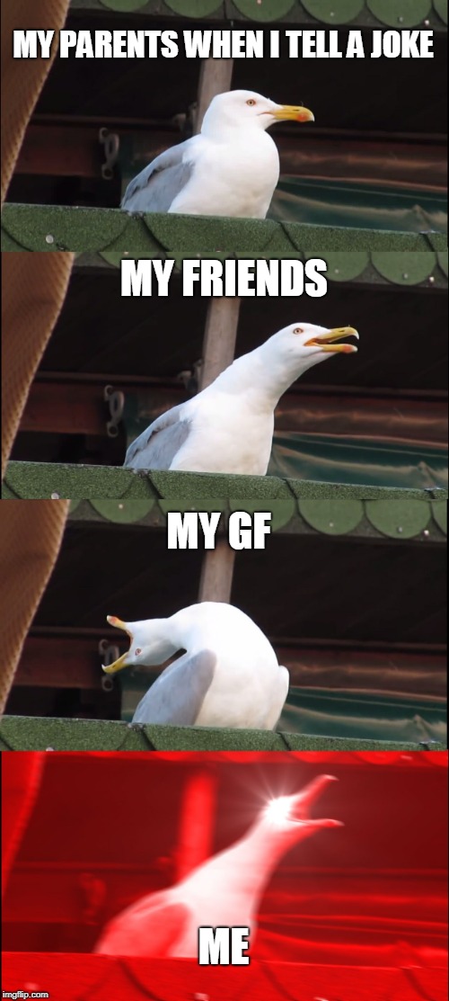 Inhaling Seagull Meme | MY PARENTS WHEN I TELL A JOKE; MY FRIENDS; MY GF; ME | image tagged in memes,inhaling seagull | made w/ Imgflip meme maker
