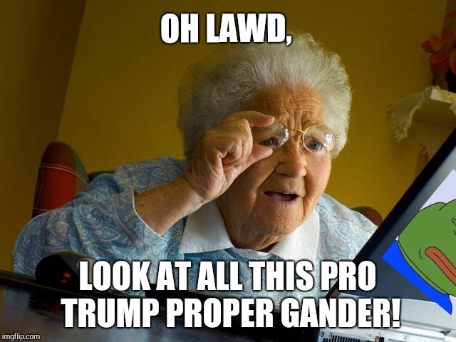 Proper Gander | OH LAWD, LOOK AT ALL THIS PRO TRUMP PROPER GANDER! | image tagged in memes,grandma finds the internet,pro trump,pepe the frog,rob dyke,wwyptoti | made w/ Imgflip meme maker