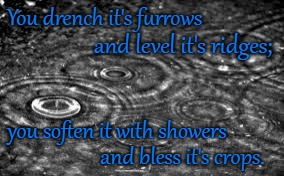 Psalms 65:10 You Drench The Land and Soften it With Showers and Bless it's Crops. | You drench it's furrows; and level it's ridges;; you soften it with showers; and bless it's crops. | image tagged in bible,holy bible,holy spirit,holy scripture,bible verse,god | made w/ Imgflip meme maker