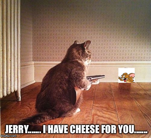 Setting a trap..... | JERRY....... I HAVE CHEESE FOR YOU....... | image tagged in tom and jerry,funny,memes | made w/ Imgflip meme maker