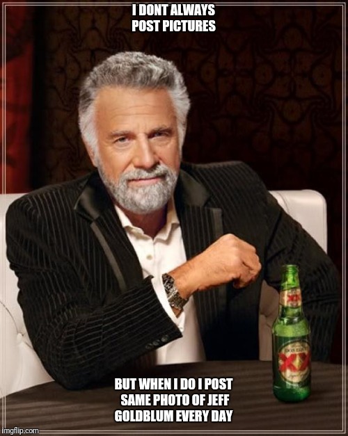The Most Interesting Man In The World Meme | I DONT ALWAYS POST PICTURES; BUT WHEN I DO I POST SAME PHOTO OF JEFF GOLDBLUM EVERY DAY | image tagged in memes,the most interesting man in the world | made w/ Imgflip meme maker