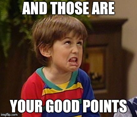 AND THOSE ARE YOUR GOOD POINTS | image tagged in wtf kid | made w/ Imgflip meme maker