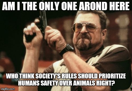 Am I The Only One Around Here | AM I THE ONLY ONE AROND HERE; WHO THINK SOCIETY'S RULES SHOULD PRIORITIZE HUMANS SAFETY OVER ANIMALS RIGHT? | image tagged in memes,am i the only one around here | made w/ Imgflip meme maker