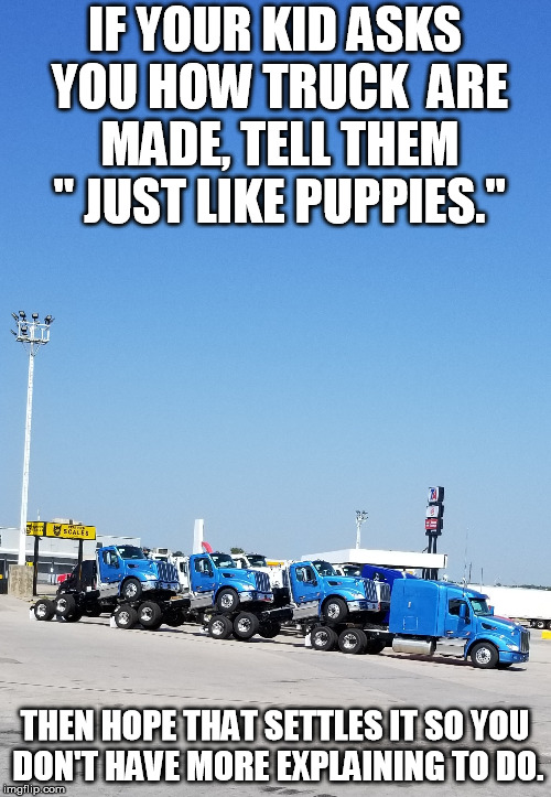 IF YOUR KID ASKS YOU HOW TRUCK  ARE MADE, TELL THEM " JUST LIKE PUPPIES."; THEN HOPE THAT SETTLES IT SO YOU DON'T HAVE MORE EXPLAINING TO DO. | image tagged in what are those trucks doing | made w/ Imgflip meme maker