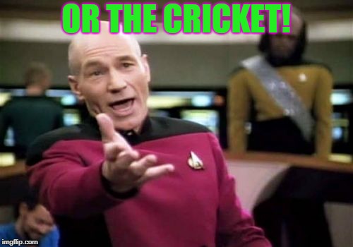 Picard Wtf Meme | OR THE CRICKET! | image tagged in memes,picard wtf | made w/ Imgflip meme maker