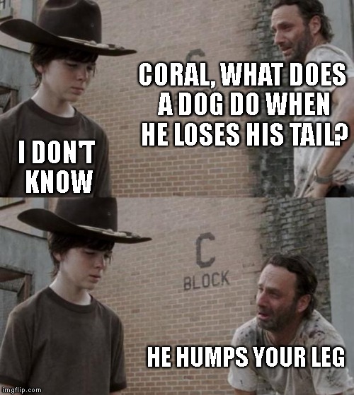 Rick and Carl Meme | CORAL, WHAT DOES A DOG DO WHEN HE LOSES HIS TAIL? I DON'T KNOW HE HUMPS YOUR LEG | image tagged in memes,rick and carl | made w/ Imgflip meme maker