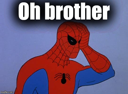 Spider-man face palm | Oh brother | image tagged in spider-man face palm | made w/ Imgflip meme maker