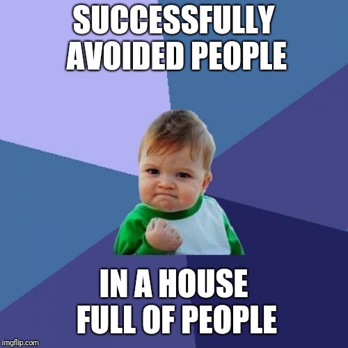Success Kid | SUCCESSFULLY AVOIDED PEOPLE; IN A HOUSE FULL OF PEOPLE | image tagged in memes,success kid | made w/ Imgflip meme maker