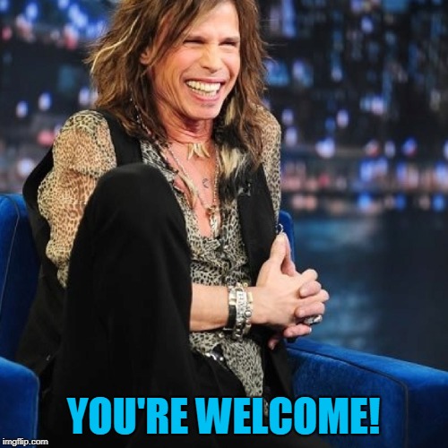 Steven Tyler | YOU'RE WELCOME! | image tagged in steven tyler | made w/ Imgflip meme maker