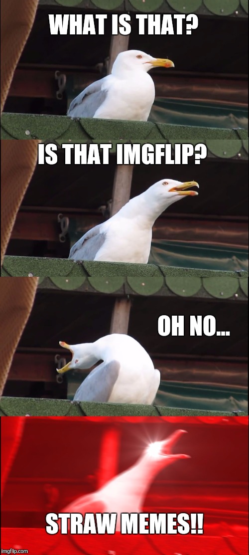 Not Again.... | WHAT IS THAT? IS THAT IMGFLIP? OH NO... STRAW MEMES!! | image tagged in inhaling seagull,memes | made w/ Imgflip meme maker