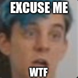 Excuse me Ethan | EXCUSE ME; WTF | image tagged in wtf,markiplier,surprise,excuse me | made w/ Imgflip meme maker