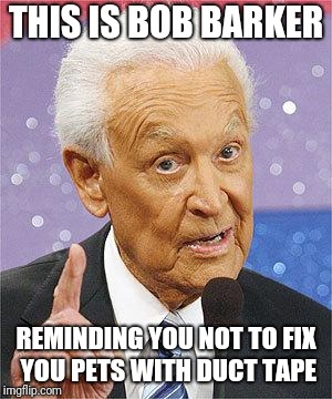 Bob Barker | THIS IS BOB BARKER; REMINDING YOU NOT TO FIX YOU PETS WITH DUCT TAPE | image tagged in bob barker | made w/ Imgflip meme maker