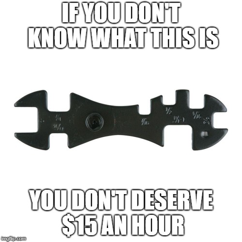 IF YOU DON'T KNOW WHAT THIS IS; YOU DON'T DESERVE $15 AN HOUR | image tagged in they took our jobs | made w/ Imgflip meme maker