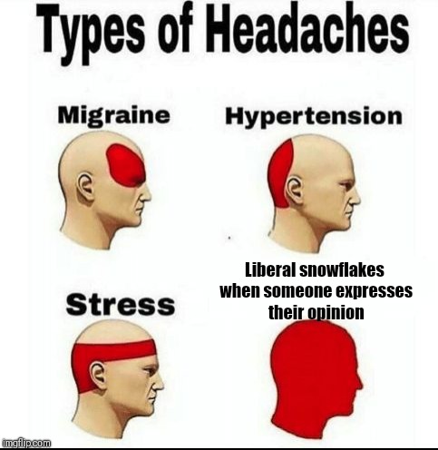 Types of Headaches meme | Liberal snowflakes when someone expresses their opinion | image tagged in types of headaches meme | made w/ Imgflip meme maker