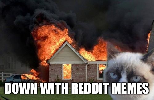 Burn Kitty Meme | DOWN WITH REDDIT MEMES | image tagged in memes,burn kitty,grumpy cat,dont upvote reddit memes | made w/ Imgflip meme maker