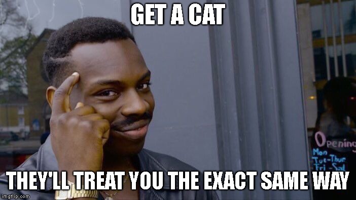 Roll Safe Think About It Meme | GET A CAT THEY'LL TREAT YOU THE EXACT SAME WAY | image tagged in memes,roll safe think about it | made w/ Imgflip meme maker