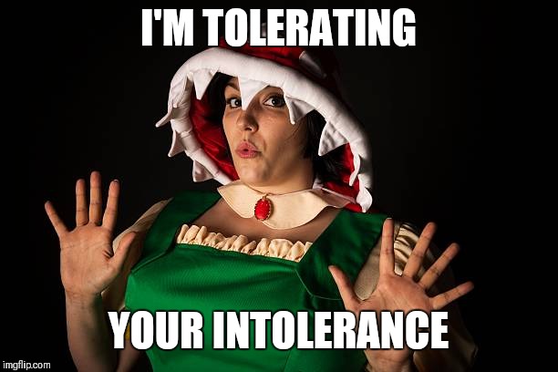 I'M TOLERATING YOUR INTOLERANCE | made w/ Imgflip meme maker