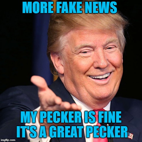 MORE FAKE NEWS MY PECKER IS FINE IT'S A GREAT PECKER | made w/ Imgflip meme maker