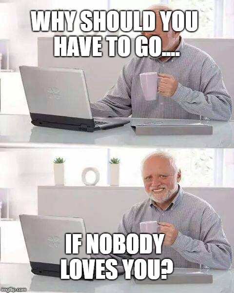 That is so wrong........ | WHY SHOULD YOU HAVE TO GO.... IF NOBODY LOVES YOU? | image tagged in memes,hide the pain harold | made w/ Imgflip meme maker